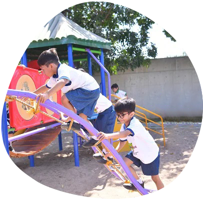 Fun at Tree house img